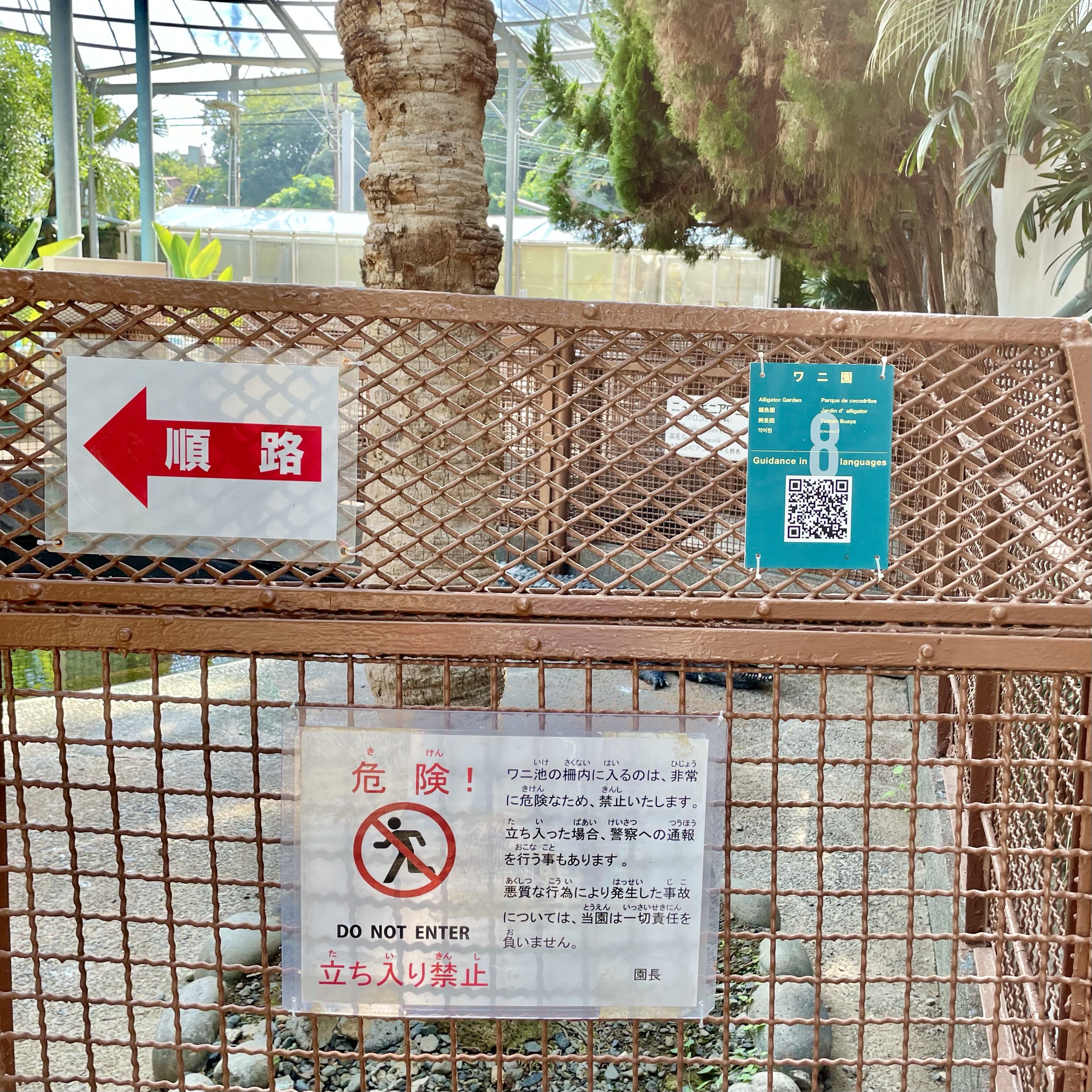 ワニの楽園へ Trip Com 伊豆の旅のブログ ワニの楽園へ Trip Com 伊豆の旅のブログ