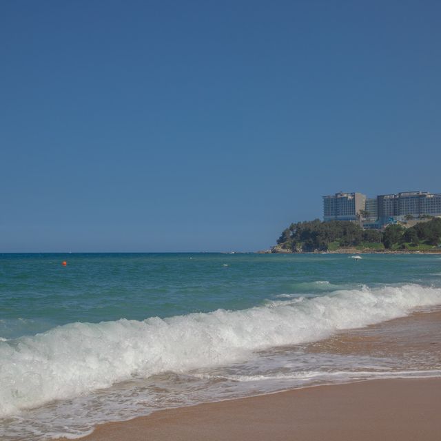 당일치기 여행지 추천 :: 속초바다🏖