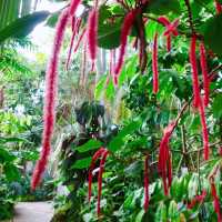 慕尼黑浪漫風植物園