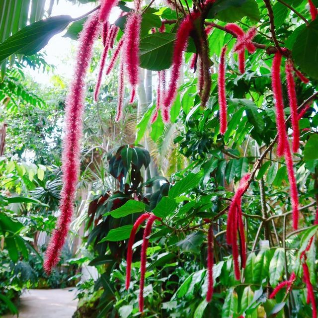 慕尼黑浪漫風植物園