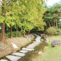 경기도 피크닉 명소 '세미원'
