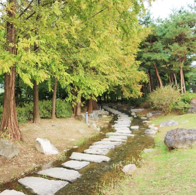경기도 피크닉 명소 '세미원'