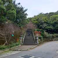 台北 | 內湖「碧山巖」讓你免跑日本就能輕鬆賞櫻，還有熱門的採草莓體驗等著各位