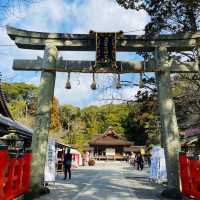 【京都府】出雲大神宮を参拝！