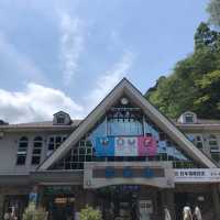 高尾山に行ってきました！