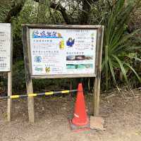 奄美空港からすぐの観光スポット土盛海岸