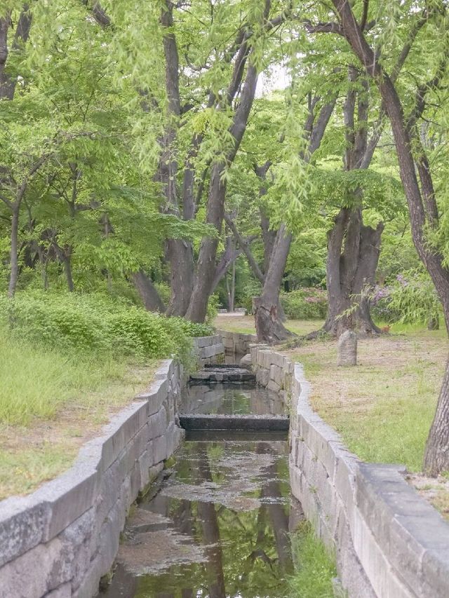 서울 한옥데이트 추천, 창경궁