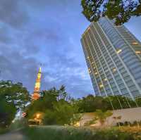 夜のパークタワー東京の正面からの様子