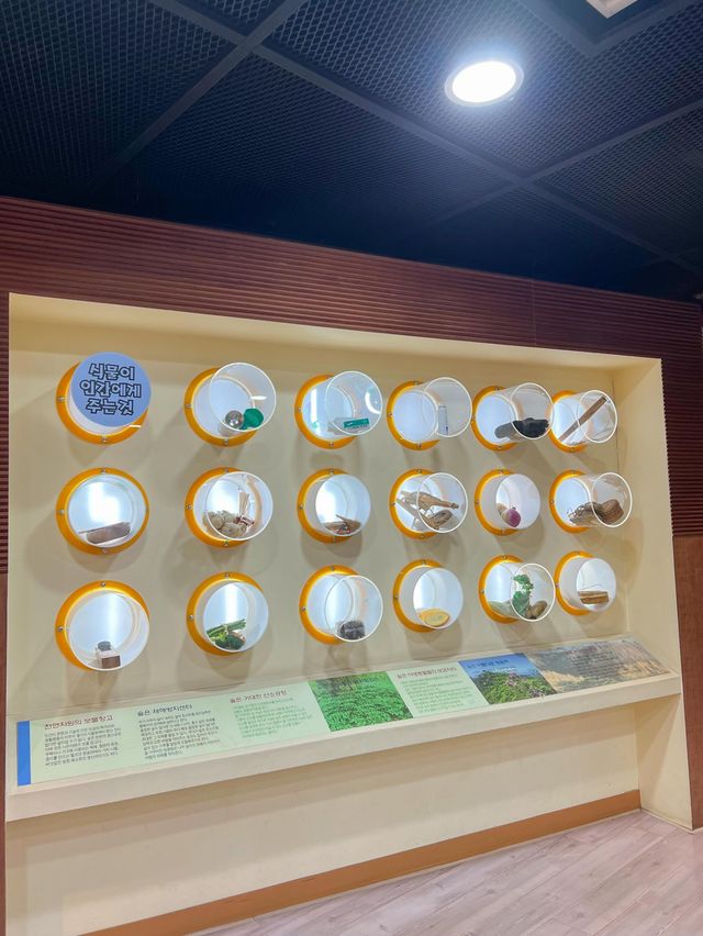 다양한 식물에 대해 알 수 있는 식물체험관🌿