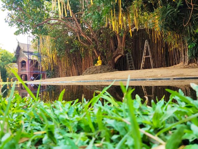 วัดพันตา วัดวิหารหลวงไม้สักเเห่งล้านนา