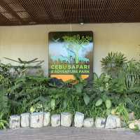 Safari Trip I