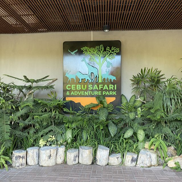 Safari Trip I