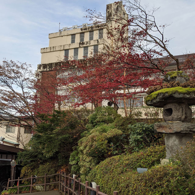 Late Autumn in Shibukawa 