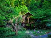 คาเฟ่ลับ ในป่า In to the forest