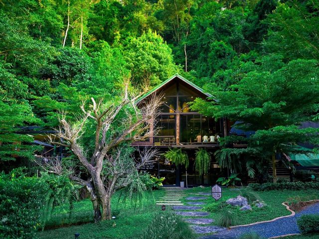 คาเฟ่ลับ ในป่า In to the forest