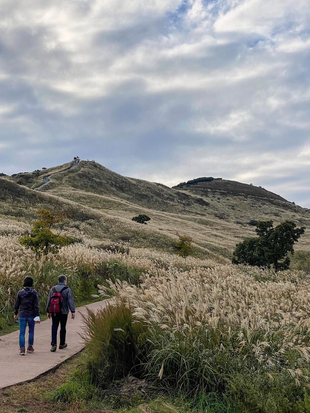 가을 억새명소, 황매산오토캠핑장 둘러보기🏕