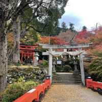 【兵庫県】鳥居と紅葉が美しい秋の有子山稲荷神社へ！