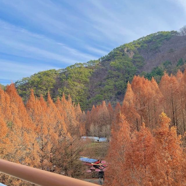단풍구경명소로 핫한 장태산🍁