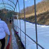 원주 고니골 눈썰매장☃️