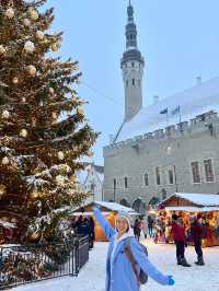 One of the best Christmas markets in Europe!