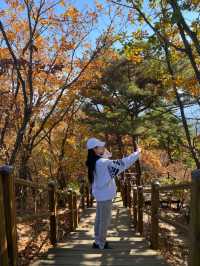 등산하는 이유=사진찍기.⛰