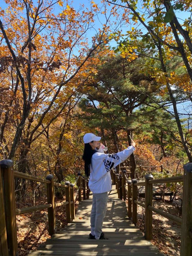 등산하는 이유=사진찍기.⛰