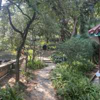 古色古香九龍公園
