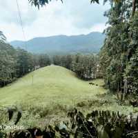 Trip to paradise land in South India -Kerala