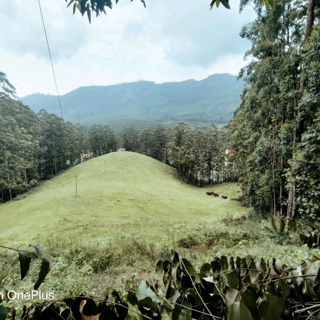 Trip to paradise land in South India -Kerala