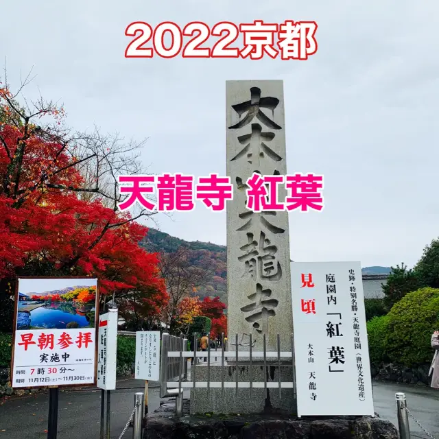 京都紅葉2022 天龍寺の紅葉