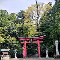 超治愈。。漫步。。新潟縣彌彥站的街道