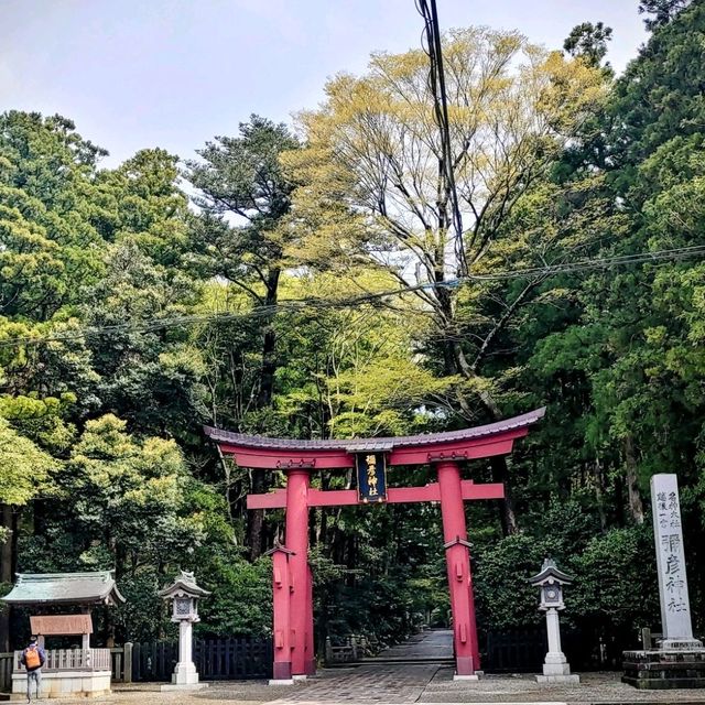 超治愈。。漫步。。新潟縣彌彥站的街道