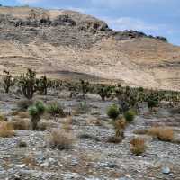 scenic view of Vegas 