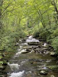 Chimney Top Trail - Smoky National Park