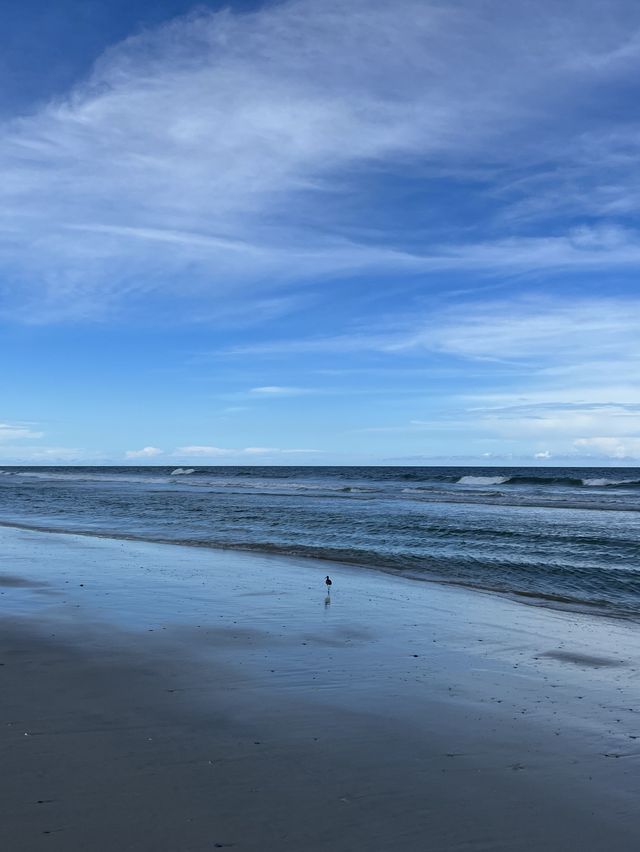 winter at the beaches 