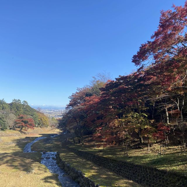 日本養老公園絕美賞楓景點