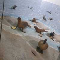 Amazing zooalogical museum 