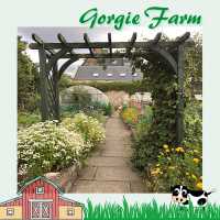 愛丁堡城市中的友好小農場Gorgie Farm