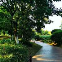 Best place for Morning walk 