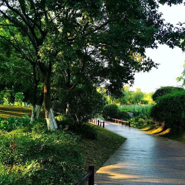 Best place for Morning walk 