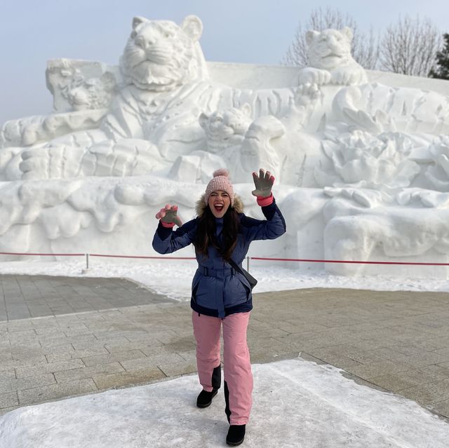 ❄️ Frozen in HARBIN! ❄️