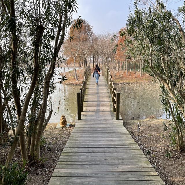Dongtan Wetland Park, Chongming