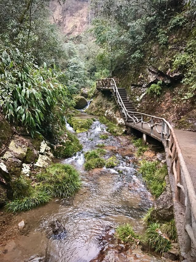 산 꼭대기에서 부터 이어지는 끊임없는 폭포의 향연, 신룡곡(神龙谷)