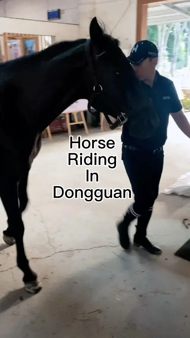Horse riding at FANG YIN EOUESTRIAN CLUB