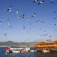 Dian Chi Lake strolling....