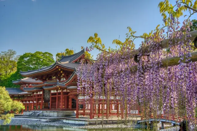 【Kyoto · Byodoin · Phoenix Hall · 2023】