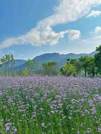 Hidden French park in downtown Fuzhou!!!