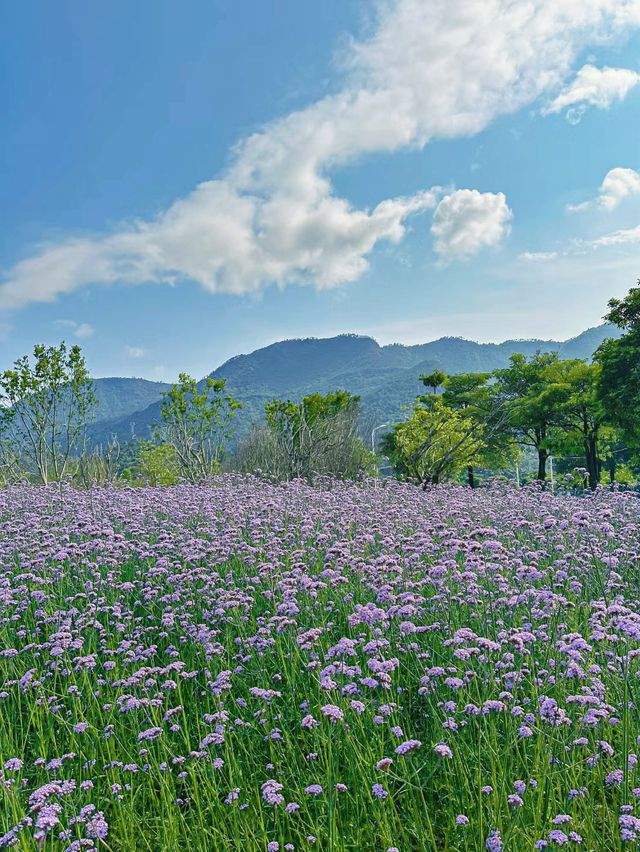 Hidden French park in downtown Fuzhou!!!