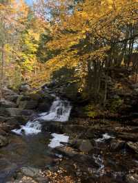 Gatineau Park