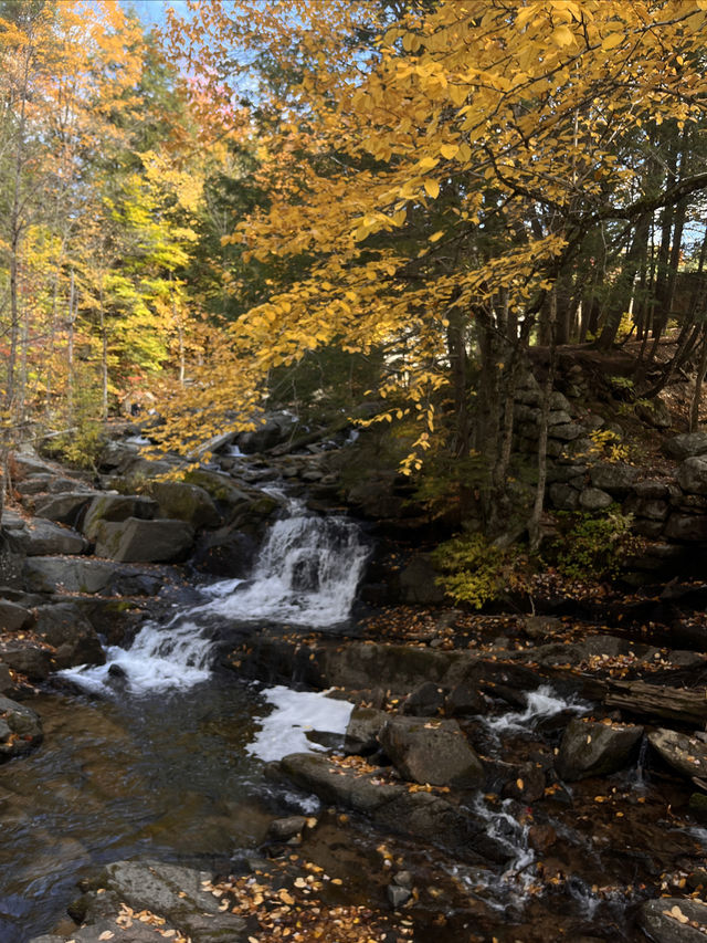 Gatineau Park